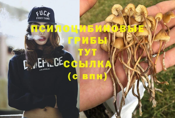 apvp Алексин