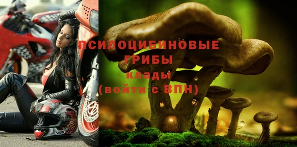 apvp Алексин