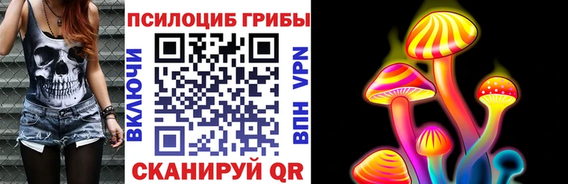 Галлюциногенные грибы Cubensis  Мытищи 